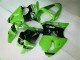 00-02 Grün Schwarz Kawasaki ZX6R Motorrad Vollverkleidung