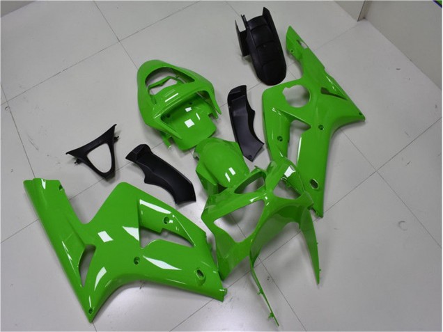 03-04 Grün Kawasaki ZX6R Motorrad Verkleidungen