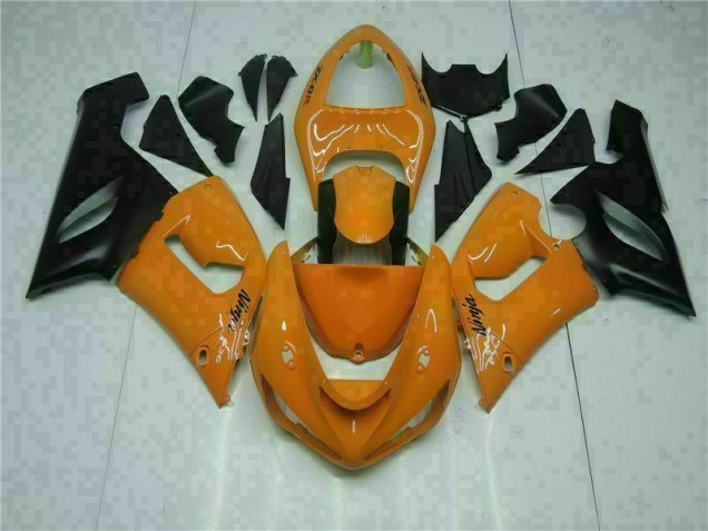 05-06 Orange Kawasaki ZX6R Motorrad Verkleidung